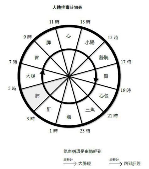 身體時鐘|人體排毒與生理時鐘有關｜抗老養生｜運動養生｜元氣